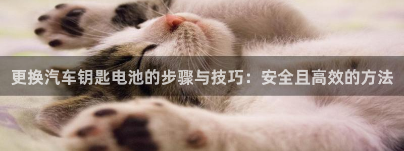 优发国际这个平台怎么样啊