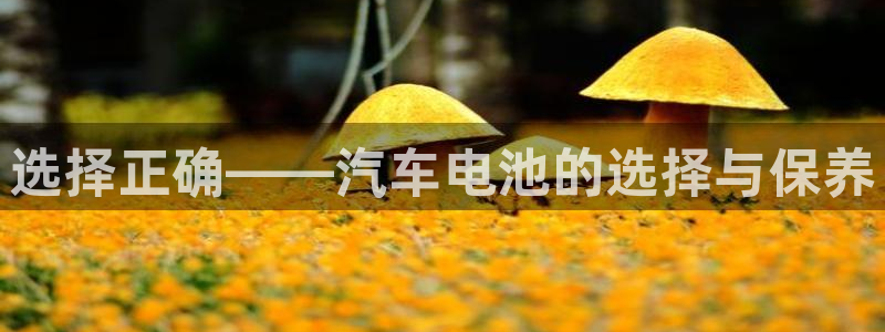 优发国际游戏官方网站入口