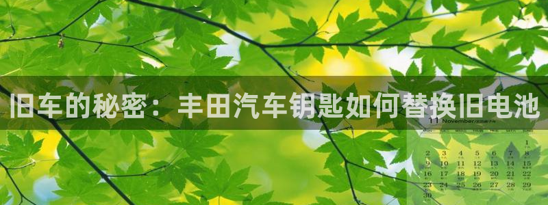 优发国际官方网