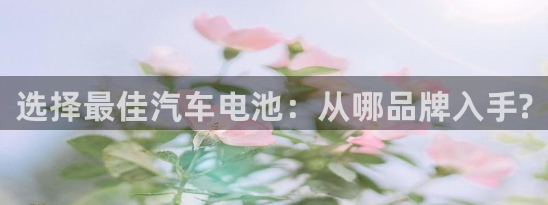 优发国际安卓版下载安装最新版：选择最佳汽车电池：从哪品牌入手?
