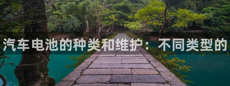 优发国际安卓版下载安装教程：汽车电池的种类和维护：不同类型的