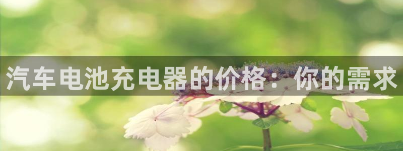 优发国际平台app下载安装：汽车电池充电器的价格：你的需求