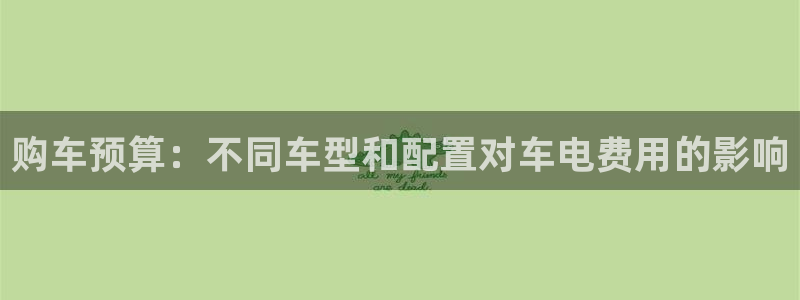 优发国际手机客户端下载不了：购车预算：不同车型和配置对车电费用的影响