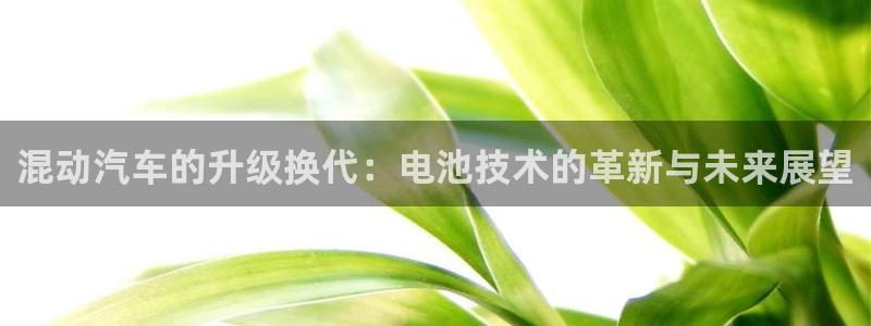 优发国际网官网17w80是什么