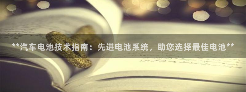 优发国际官方下载app：**汽车电池技术指南：先进电池系统，助您选择最佳电池**