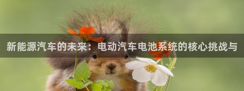 优发国际 干什么的：新能源汽车的未来：电动汽车电池系统的核心挑战与
