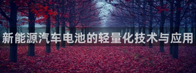 优发国际注册平台官网：新能源汽车电池的轻量化技术与应用