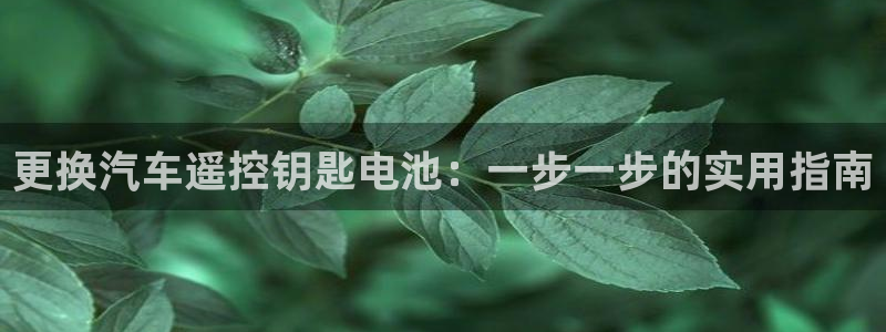 优发国际首页首页登录：更换汽车遥控钥匙电池：一步一步的实用指南