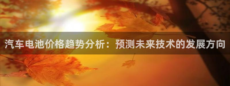 优发娱乐官网地址：汽车电池价格趋势分析：预测未来技术的发展方向