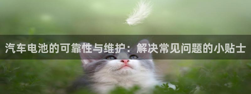 优发国际是大平台吗是真的吗：汽车电池的可靠性与维护：解决常见问题的小贴士