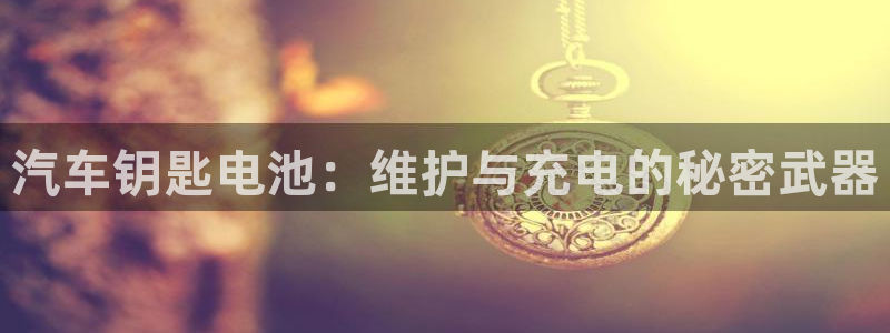 优发国际登录r8：汽车钥匙电池：维护与充电的秘密武器