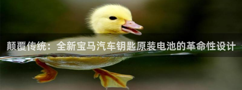 优发国际手机app下载安装官网：颠覆传统：全新宝马汽车钥匙原装电池的革命性设计