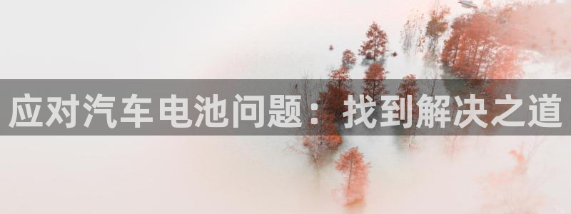 优发国际官网下载安装手机版：应对汽车电池问题：找到解决之道