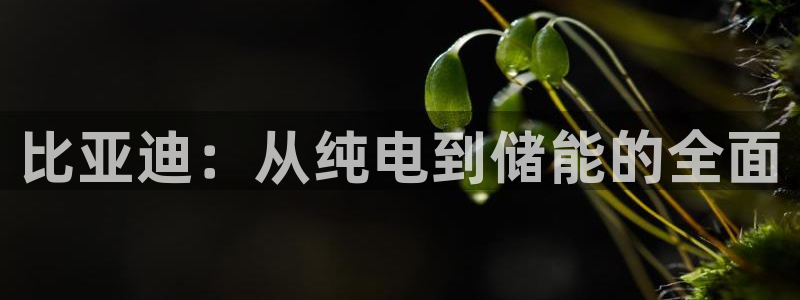 优发国际app登录密码
