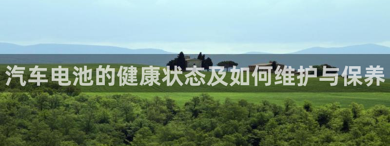 优发国际官方网手机版下载安装：汽车电池的