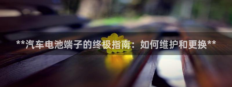 优发国际官网手机版下载安装：**汽车电池端子的终极指南：如何维护和更换**