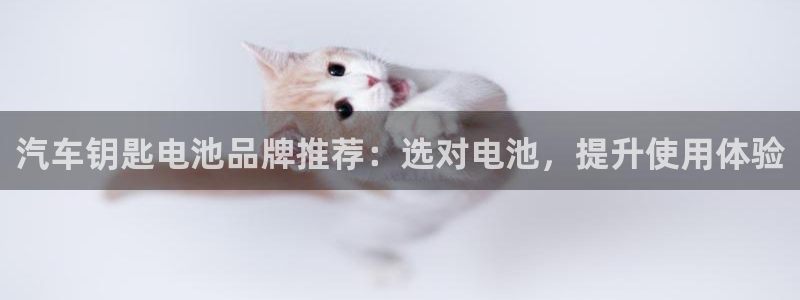 优发国际客服联系方式是什么：汽车钥匙电池品牌推荐：选对电池，提升使用体验