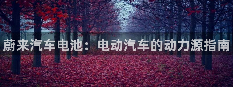 优发国际手机客户端怎么下载：蔚来汽车电池：电动汽车的动力源指南