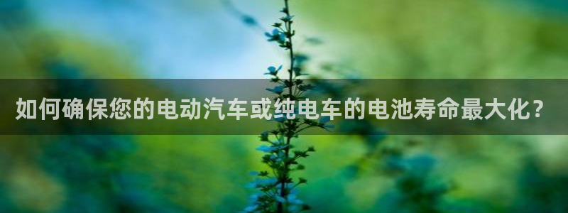 优发国际手机客户端下载安装手机版：如何确保您的电动汽车或纯电车的电池寿命最大化？