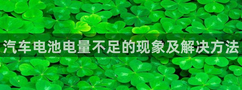 优发国际手机客户端怎么下载：汽车电池电量