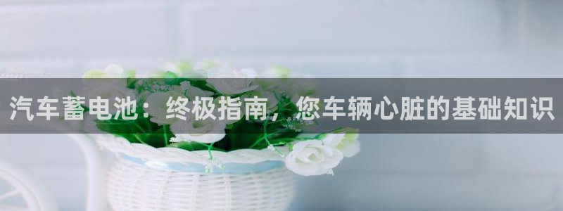 优发国际手机app下载安装：汽车蓄电池：终极指南，您车辆心脏的基础知识