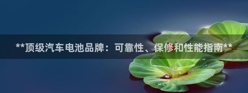 优发国际手机版客户端：**顶级汽车电池品