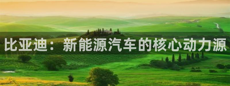 优发国际官网入口app下载：比亚迪：新能源汽车的核心动力源