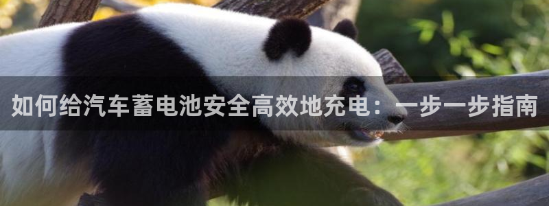 优发国际登录：如何给汽车蓄电池安全高效地充电：一步一步指南