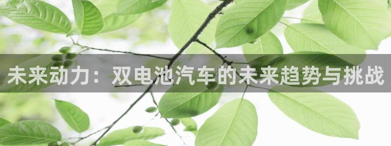 优发国际平台网站：未来动力：双电池汽车的未来趋势与挑战
