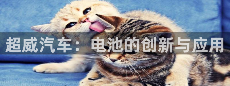 优发国际官方网：超威汽车：电池的创新与应