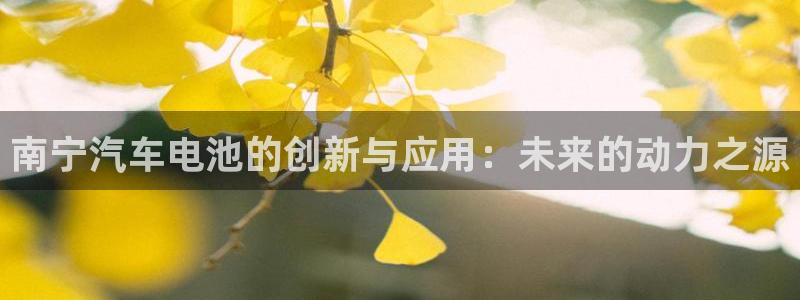 优发国际怎么样：南宁汽车电池的创新与应用