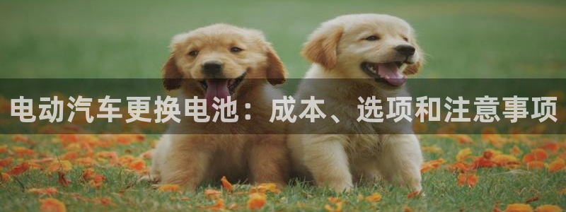 优发国际是大平台吗：电动汽车更换电池：成本、选项和注意事项