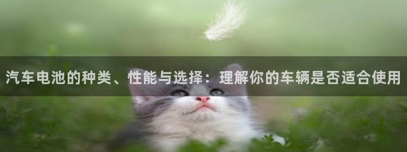 优发国际是真的吗