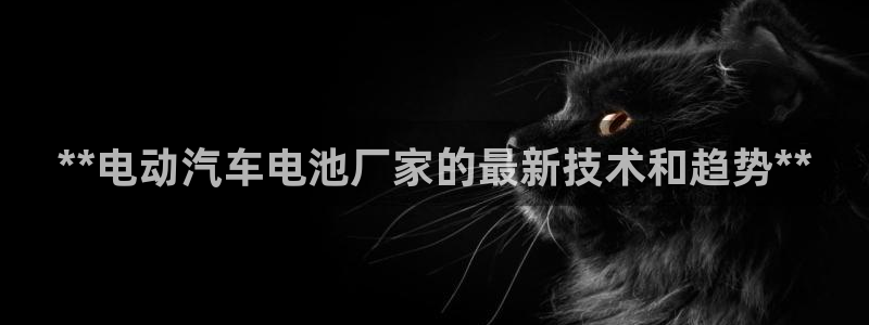 优发国际手机版网站登录：**电动汽车电池厂家的最新技术和趋势**