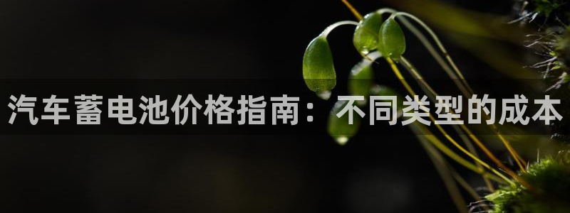 优发国际官方网手机版下载安卓