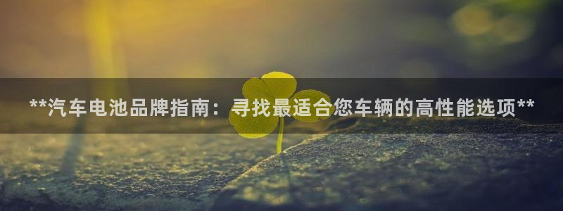优发国际这个平台怎么样：**汽车电池品牌